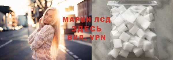 прущие грибы Абаза