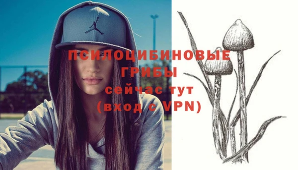 тгк Алексеевка