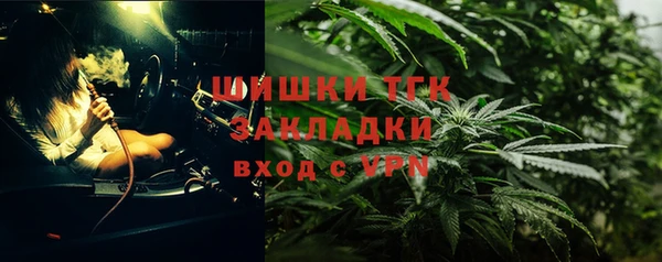 прущие грибы Абаза