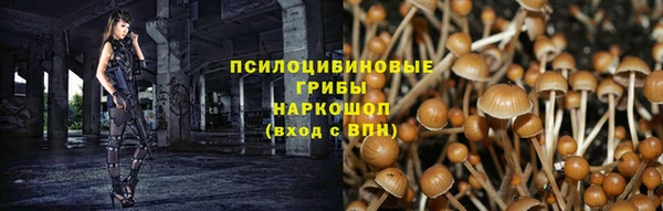 МДПВ Алзамай