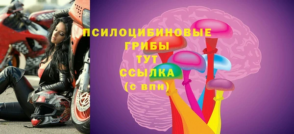 ГАЛЛЮЦИНОГЕННЫЕ ГРИБЫ Абинск