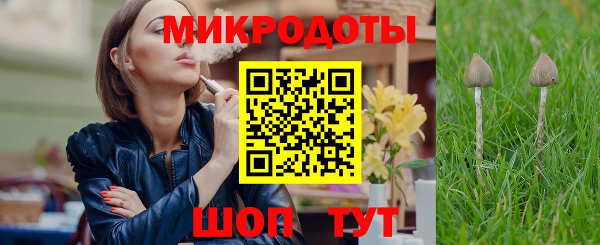 Усолье-Сибирское  как найти закладки  Вход с VPN  Псилоцибиновые грибы Psilocybine cubensis 